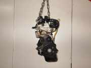Motor ohne Anbauteile (Benzin) RENAULT Twingo II (CN0) D7F 800