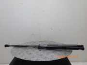 Heckklappendämpfer RENAULT Twingo III (BCM) 904518604R
