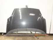 Motorhaube FIAT Grande Punto (199) 0051701140