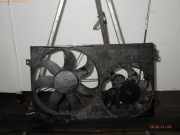 Elektrolüfter AUDI A3 Sportback (8PA) 185000 km