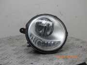 Nebelscheinwerfer rechts RENAULT Twingo II (CN0) 261509865R