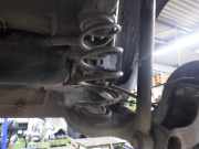 Feder hinten DACIA Duster (HS)