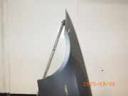 Kotflügel links vorne BMW 3er (E90) 41355A55AF3