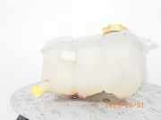 Behälter Kühlwasser FORD Fiesta V (JH, JD)