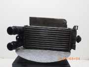 Ladeluftkühler FORD Fiesta VII (HJ, HF) 2484875