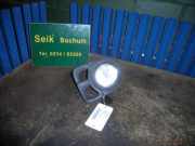 Nebelscheinwerfer rechts RENAULT Kangoo (KC) 240000 km