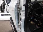 Türscharnier vorne links RENAULT Twingo III (BCM)