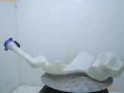 Behälter Scheibenwaschanlage FORD EcoSport 2252153