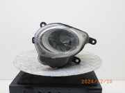 Tagfahrleuchte links FIAT 500 (312)