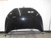 Motorhaube FORD EcoSport 2577534