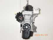 Motor ohne Anbauteile (Benzin) SKODA Fabia II Kombi (545) CBZA