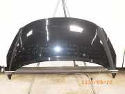 Motorhaube PEUGEOT 207 CC 7901N2