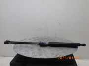 Heckklappendämpfer RENAULT Zoe (BFM) 904502915R