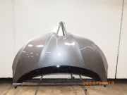 Motorhaube RENAULT Scenic IV (J9)