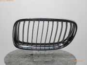 Kühlergrill / Links BMW 3er (E90) 51137201969