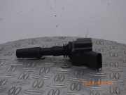 Zündspule VW Polo V (6R, 6C) 04905110K
