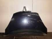 Motorhaube CITROEN C4 I Picasso (U)