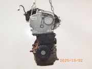 Motor ohne Anbauteile (Benzin) RENAULT Scenic II (JM) K4M 813