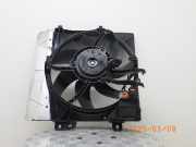 Elektrolüfter PEUGEOT 208 I (CA, CC) 1253H4