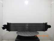 Ladeluftkühler FORD Focus III (DYB) BV619L440AD