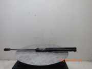 Heckklappendämpfer VW Polo V (6R, 6C) 6R6827550C