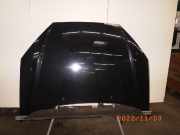 Motorhaube FORD Focus (DAW, DBW)
