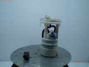 Kraftstoffpumpe CITROEN C3 II (A51) 124000 km