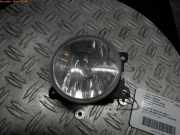 Nebelscheinwerfer links PEUGEOT 206+ 40450 km