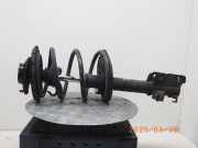 Federbein links vorne NISSAN Murano I (Z50) E43031AT0B