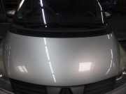 Motorhaube RENAULT Espace IV (K) 651000267R