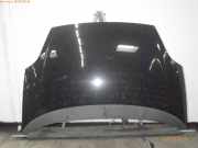 Motorhaube FIAT Grande Punto (199) 0051701140