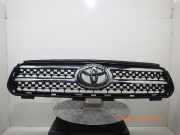 Kühlergrill TOYOTA RAV 4 III (A3) 5310142180