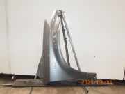 Kotflügel rechts vorne NISSAN Murano I (Z50) F31001AAMB