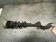 Federbein rechts vorne AUDI A4 Avant (8W, B9) 8W0031AA