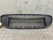 Kühlergrill unten BMW 1er Coupe (E82) 8045432