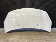Motorhaube Citroen C3 II SC 7901R1