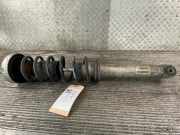 Federbein rechts hinten BMW 5er (E60) 6766065