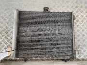 Klimakondensator PEUGEOT 207 9653035280