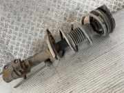 Federbein rechts vorne NISSAN Micra III (K12) E43A2BC60A