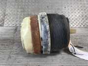 Feder hinten AUDI A6 (4F, C6) 4F0616001J