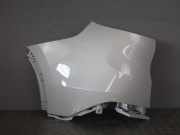 Kotflügel links hinten BMW X5 G05, F95 7499333