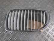 Kühlergrill links M-Paket BMW 1er Coupe (E82) 120i 115 kW 156 PS (09.2009-10.2013)