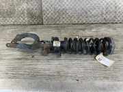 Federbein links vorne BMW 7er F01, F02, F03, F04 6796939