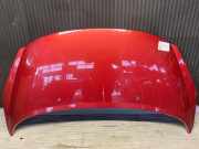Motorhaube PEUGEOT 207 CC 7901N2