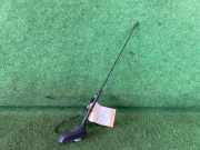 Antenne Dach Citroen C3 II SC 9666154380