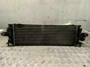 Ladeluftkühler RENAULT Trafic II Kasten (FL) 8200411160C 2.0 dCi 114 PS