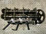 Zylinderkopf rechts AUDI A6 Avant (4G, C7) 059354DS 3.0 TDI 204 PS