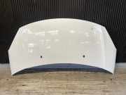 Motorhaube CITROEN C3 II (SC) 7901R1