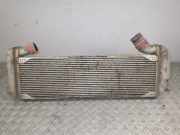 Kühler für Abgasrückführung SCANIA (LKW) Serie R 480