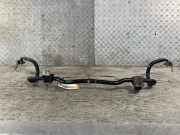 Stabilisator vorne RENAULT Scenic II (JM) 8200646060